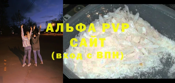 крисы Абаза