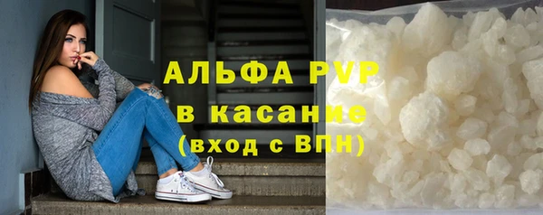 крисы Абаза