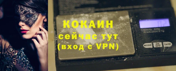 крисы Абаза