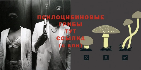 скорость Белая Холуница