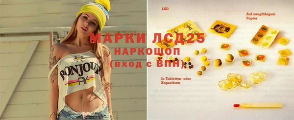 крисы Абаза