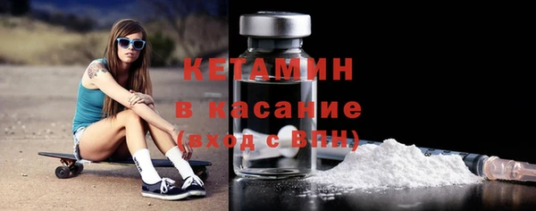 крисы Абаза