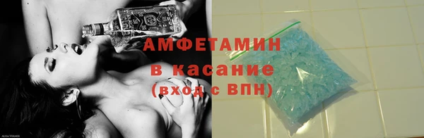 крисы Абаза