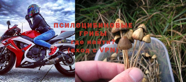 крисы Абаза