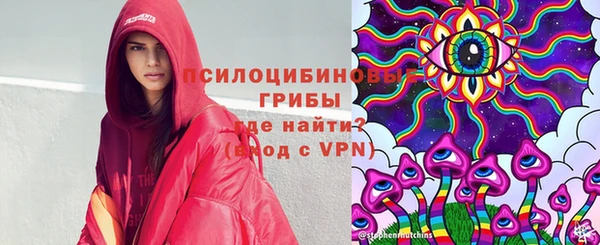 spice Абинск