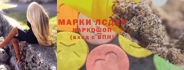 крисы Абаза