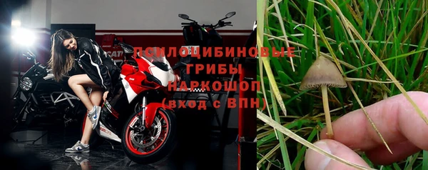 spice Абинск