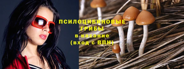 спайс Абдулино
