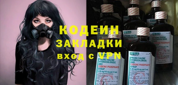 крисы Абаза