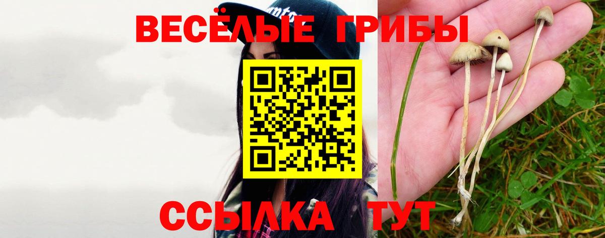 Звенигород  Галлюциногенные грибы Magic Shrooms  закладка  Вход с VPN 